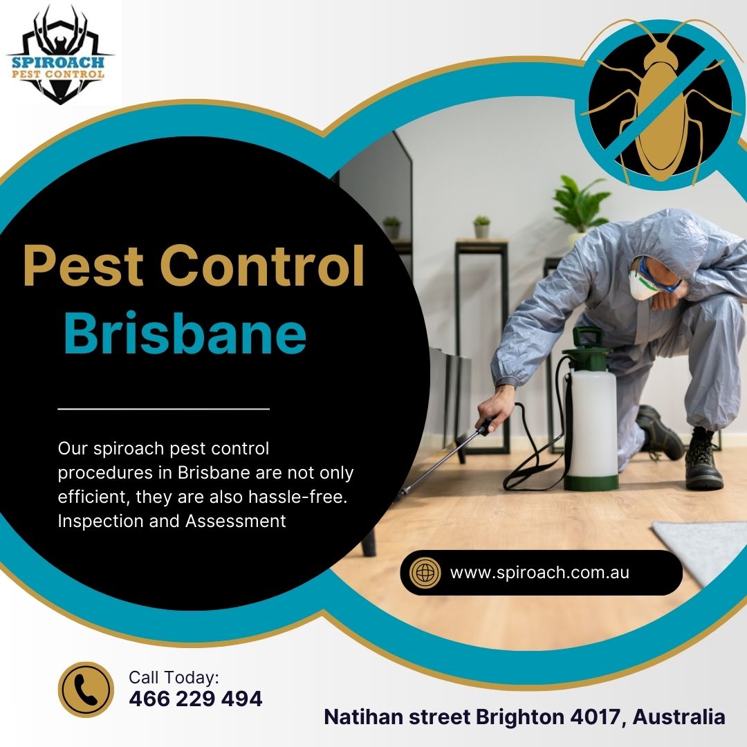 Pest Control Brisbane Photo Inspiration