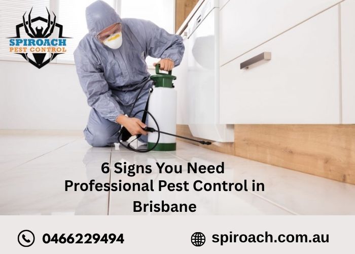 pest control in brisbane, signs you need pest control Brisbane, when to call pest control Brisbane, how to know if you need pest exterminator, persistent pest activity Brisbane, health risks pests Brisbane, structural damage termites Brisbane, pest control Brisbane, pest control near me, pest control companies near me, professional pest control near me, pest control services near me, termite control Brisbane, rodent control Brisbane, cockroach pest control near me, bed bug pest control near me, mosquito control Brisbane