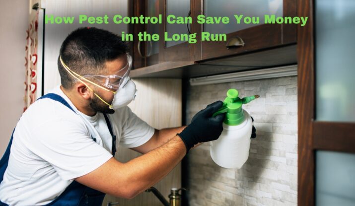 Regular Pest Inspections