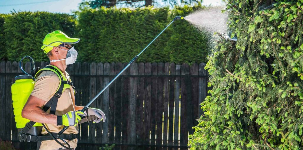 DIY Pest Control Mistakes That Make Infestations Worse